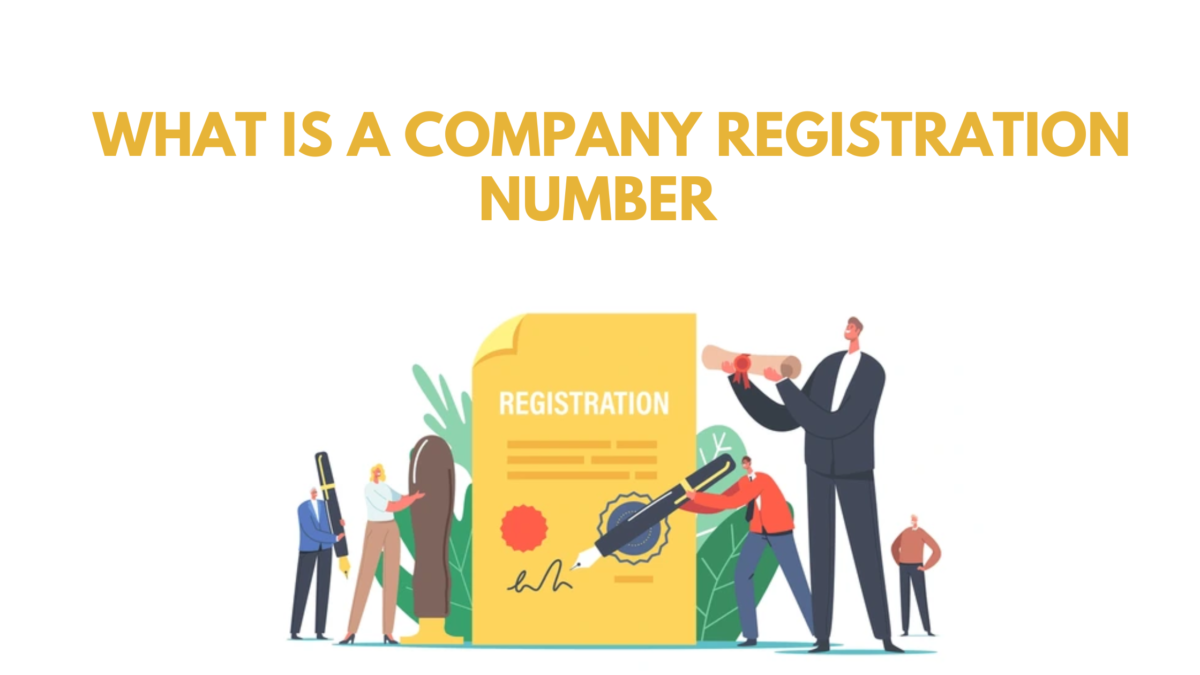 What is a Company Registration Number